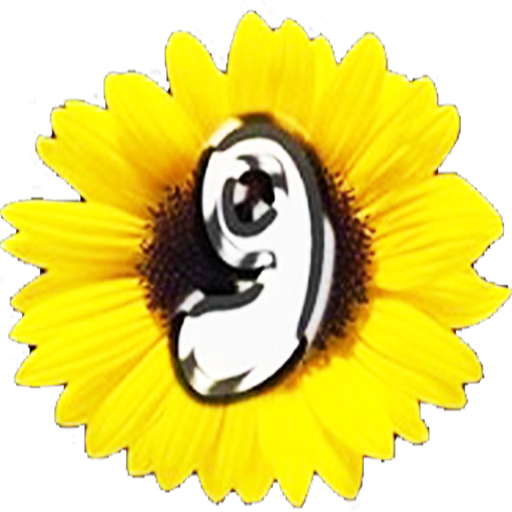 FM 9 de Julio